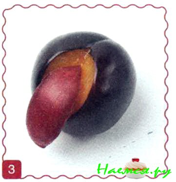 Страус Страус