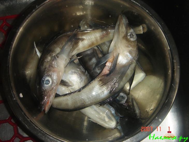 Просто рыба