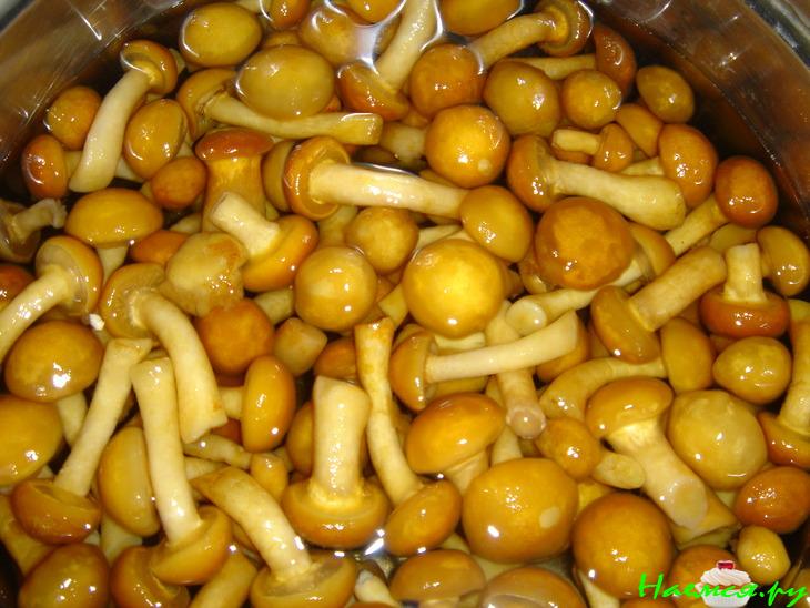 Салат-закуска с картофелем и опятами Салат-закуска с картофелем и опятами