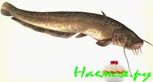 Рыба по-гречески (сом)