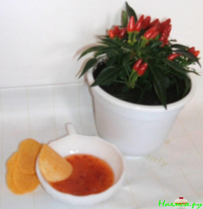 Дип-соус "Kiss of salsa"  