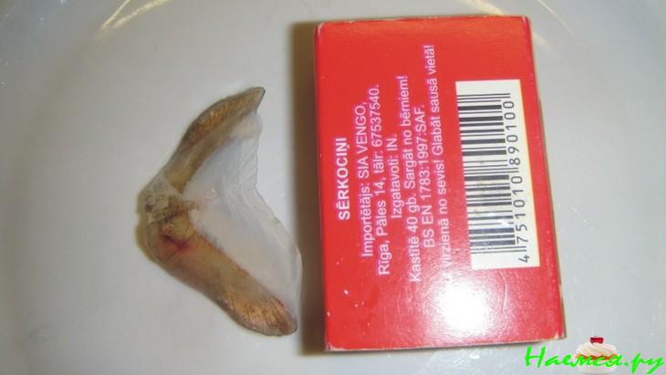 Карп лимонный