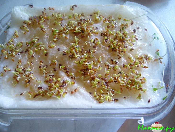 Сельдерейно-яблочный суп-пюре с беконом и кресс-салатом