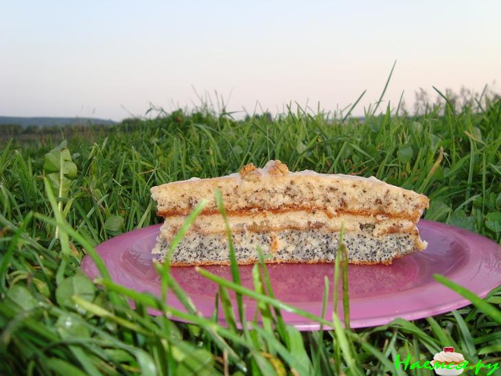 Торт 'Праздничный' с орехами, маком и изюмом
