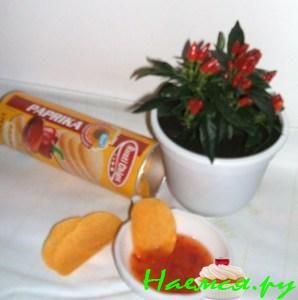 Дип-соус "Kiss of salsa"  