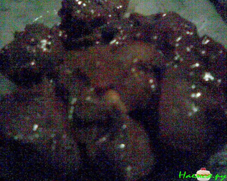 Пряная куриная печеночка с кетчупом и коньяком