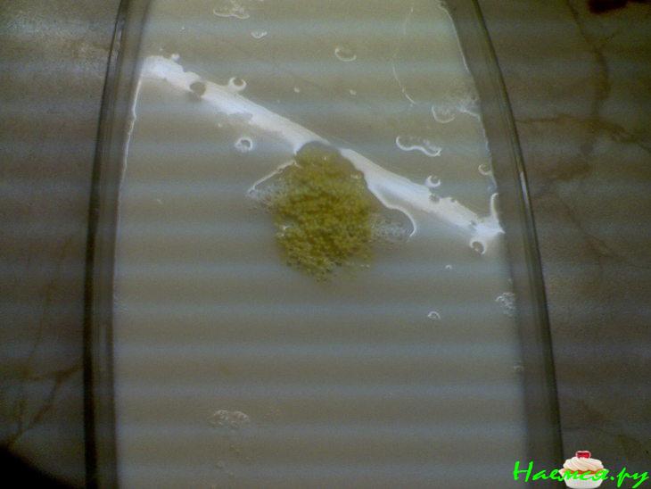 "Ягельник" (пшённая запеканка) "Ягельник" (пшённая запеканка)