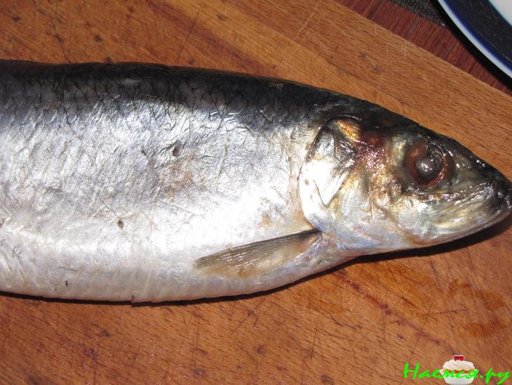 Сельдь "Алтайская"