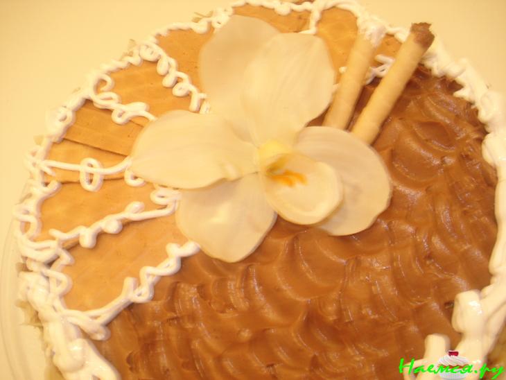 Торт безе шоколадный 'Татьянин день'