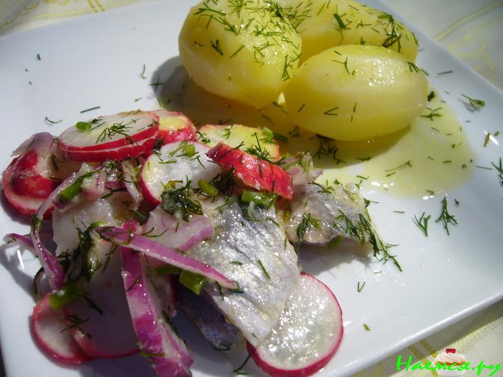Селедочный салат с редиской