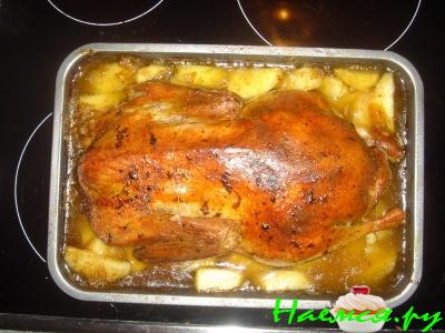 Утка с яблоками Утка с яблоками