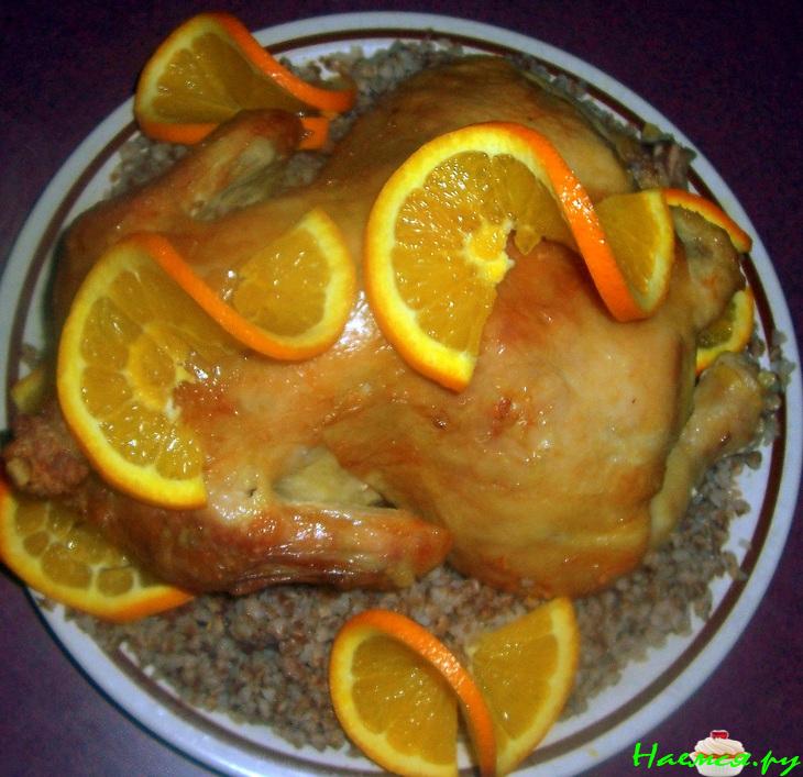 Оранжевая курочка