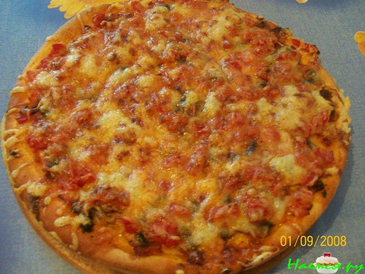 Пицца с куриным мясом и грибами Пицца с куриным мясом и грибами