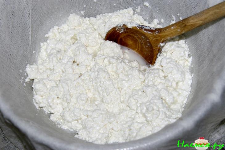 Домашний сыр (панир)