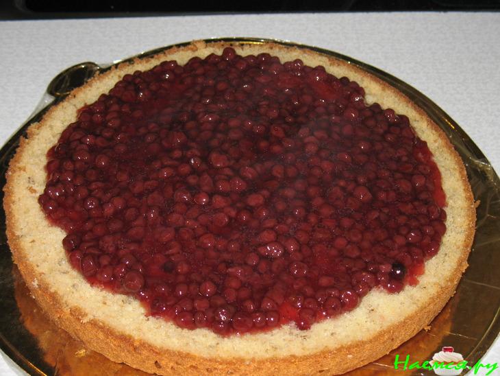 Торт «Брусничная мечта»