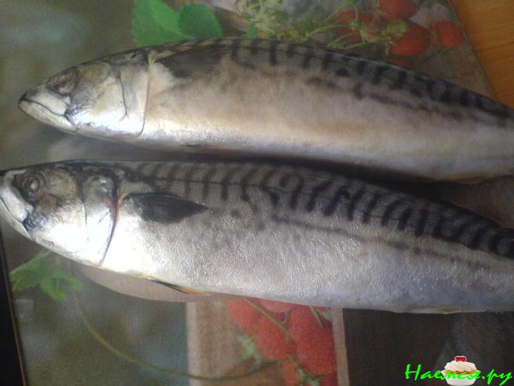 Скумбрия а-ля копченая Скумбрия а-ля копченая