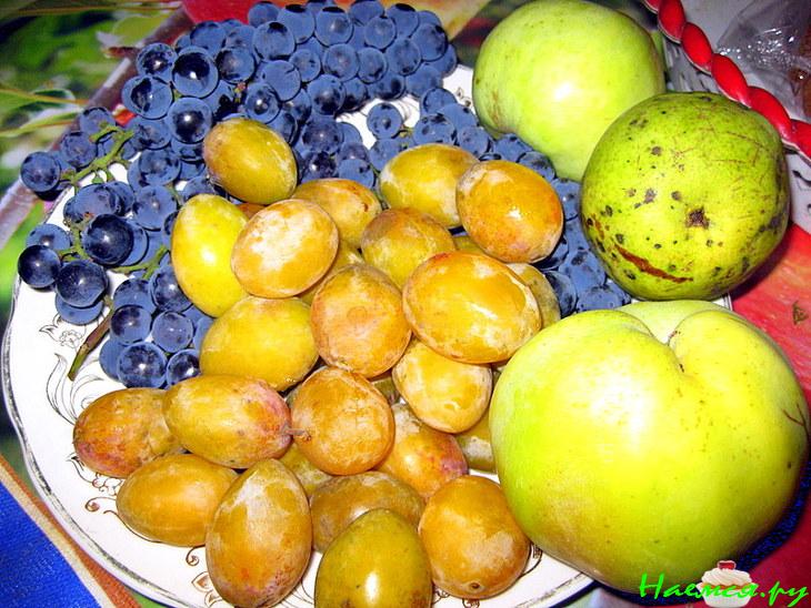 Свой компот