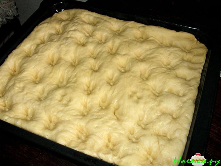 Абрикосово-масляный пирог (Aprikosen-Butterkuchen)