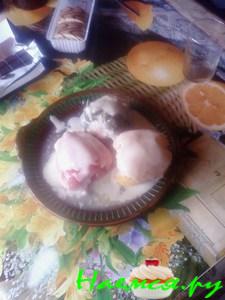 Перцы сладкие, фаршированные, в соусе «Бешамель» Перцы сладкие, фаршированные, в соусе «Бешамель»