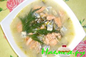 Суп рыбный густой с морской капустой и сыром