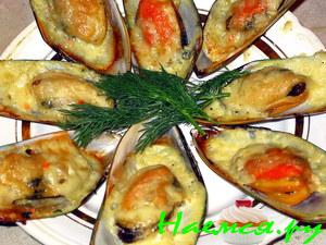 Мидии в ракушках