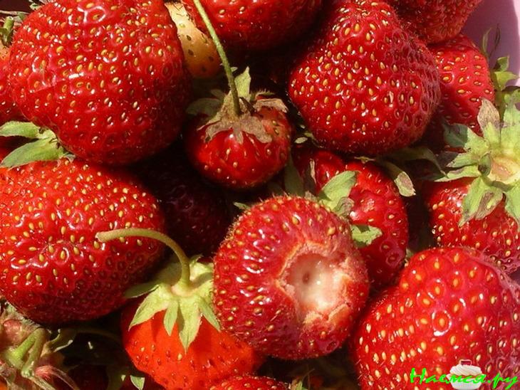 Белковый коктейль