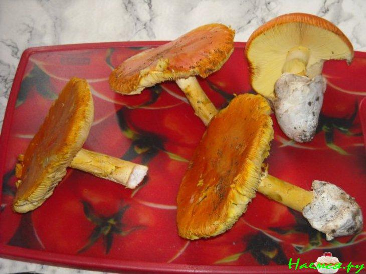 Салат из сырых кесаревых грибов