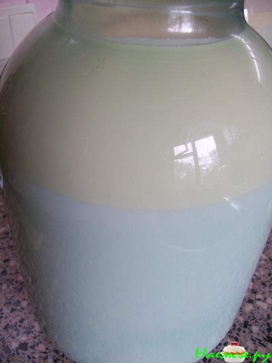 Самый натуральный йогурт, целебный и очень полезный Самый натуральный йогурт, целебный и очень полезный