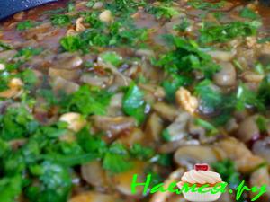 Гуляш грибной с кусочками курицы