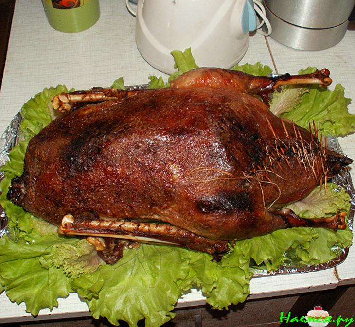 Гусь рождественский с грибами