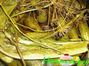 Огурчики хрустящие