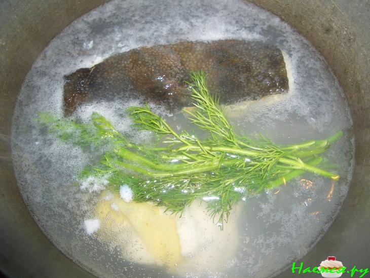 Рыба с соусом бешамель