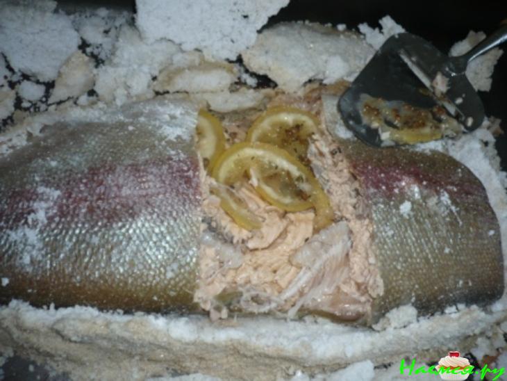 Форель солемарино Форель солемарино