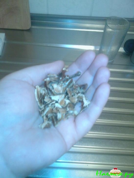 Настойка на перегородках грецкого ореха