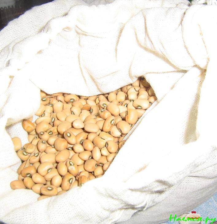 Тыква с машем