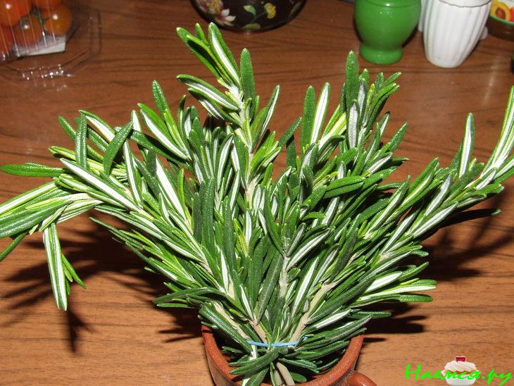 Свинина маринованная