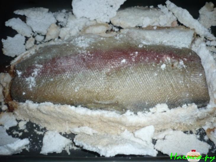 Форель солемарино Форель солемарино