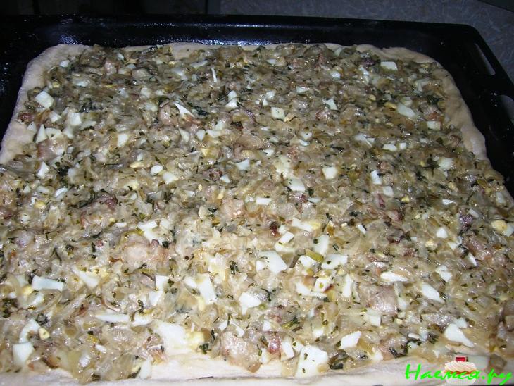 Открытый пирог с луком Открытый пирог с луком
