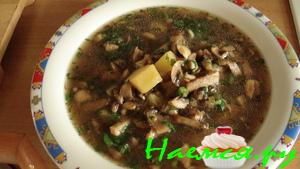 Суп "Грибная пора"