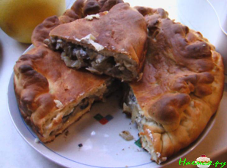 Грибной пирог с луком и сметаной