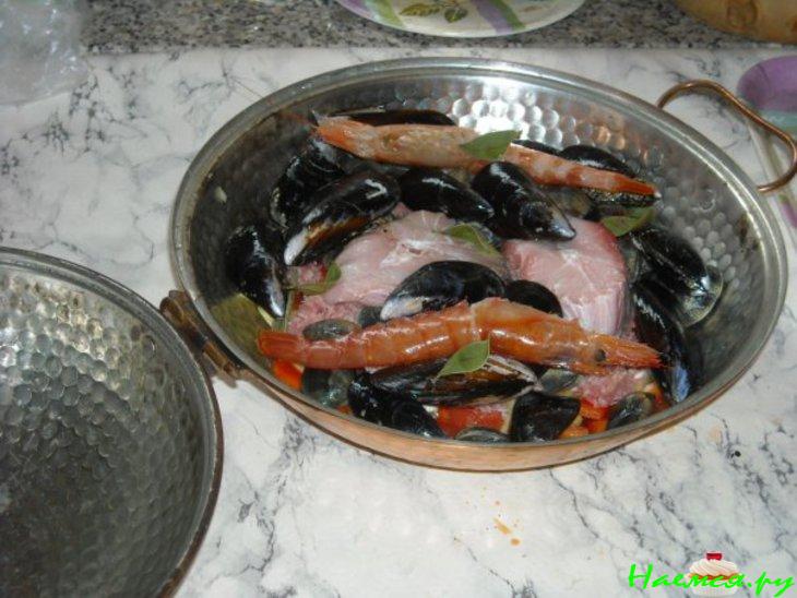 Моллюски в Катаплане