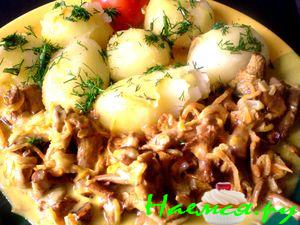 Лисички в сметане и не только или с Днем шахтера!