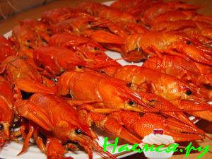 Раки вареные с сахаром! Раки вареные с сахаром!