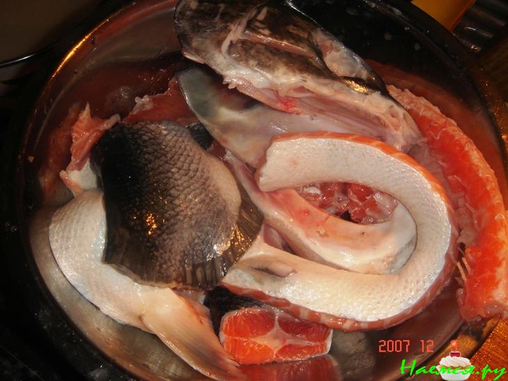 Уха (упрощенный вариант)