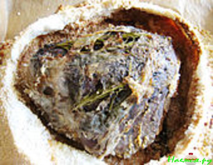 Оленина в соли