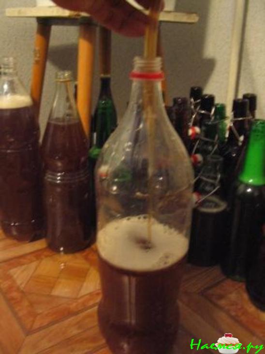 Домашнее пиво