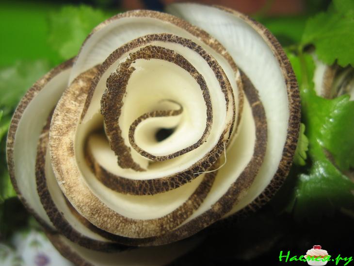 Цветы из черной редьки