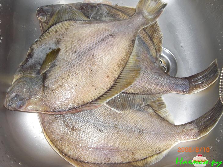 Сегодня рыбный день. Камбала жареная в трех вариациях