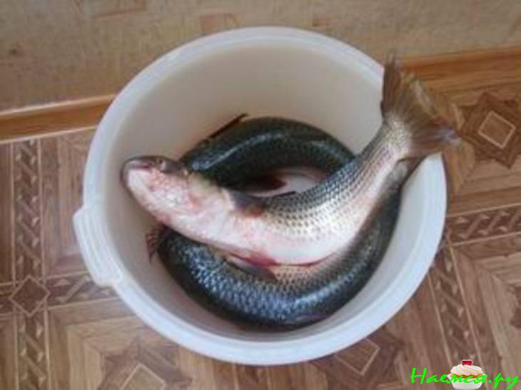 Запеченная рыба