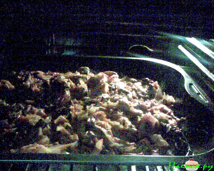 Пангасиус с капустой и грибами